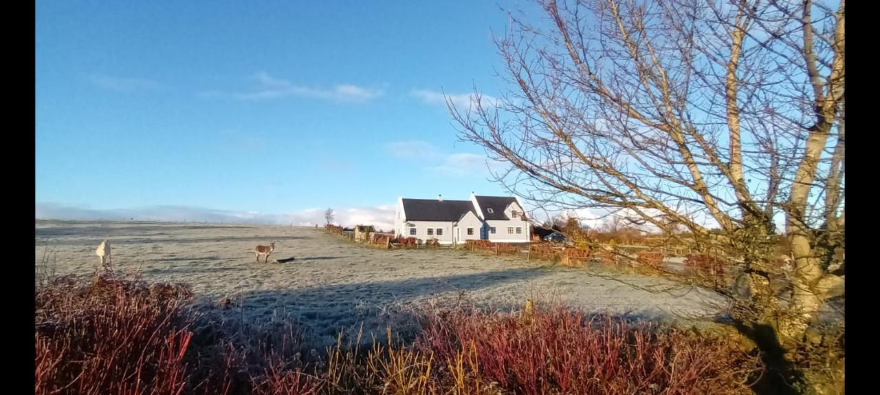 Self Catering Upstairs Apartment At Tradcottage Sligo Exterior foto